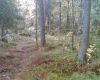Filename=Image017.jpg
Filesize=541KB
Dimensions=1280x1024
Date added=Oct 11, 2006 Image017.jpg
